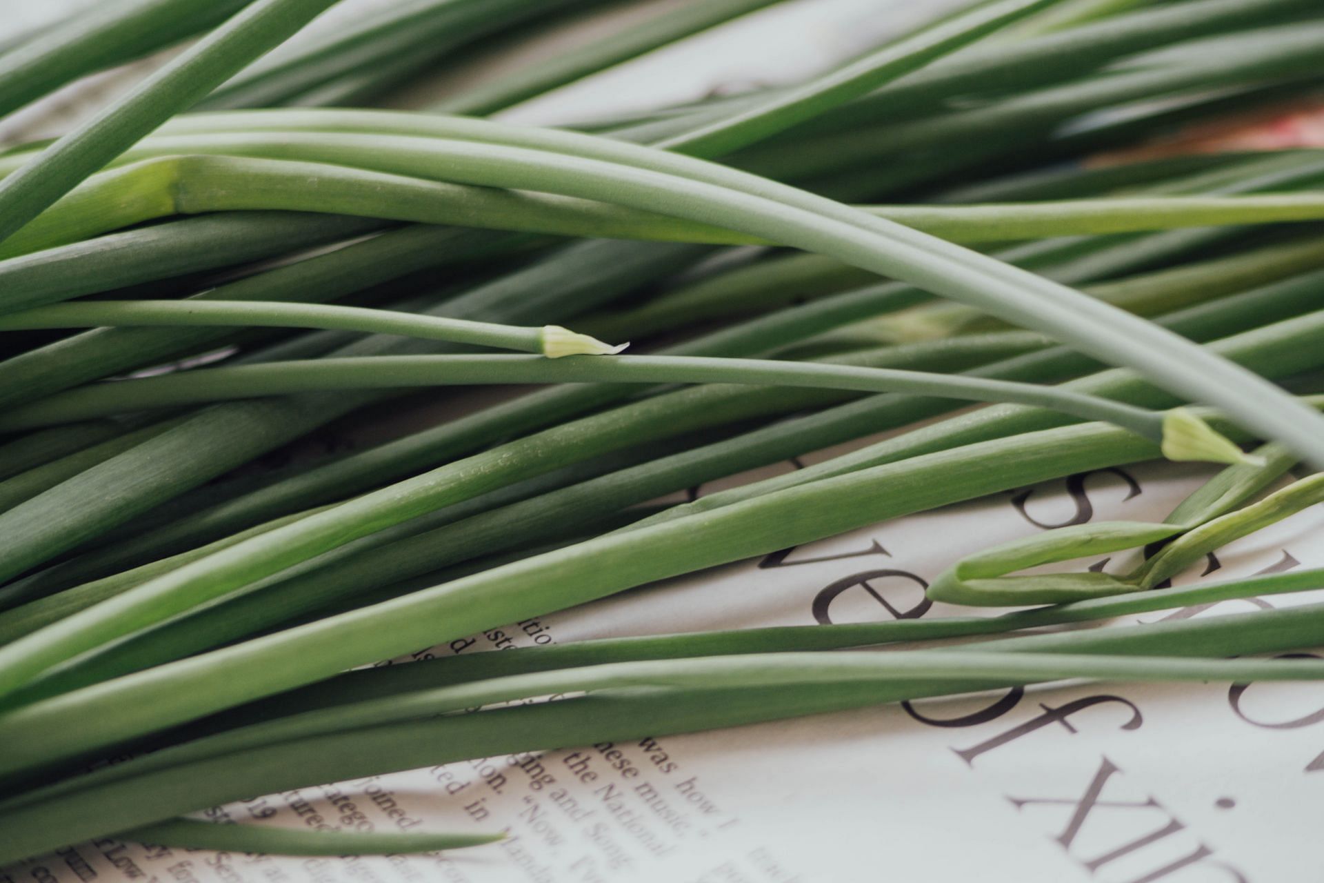 Helps you to relax (Image via Unsplash/Shuttersnap)